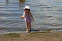 Picture 7951